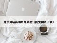 自贡昆虫网站高清照片素材（昆虫图片下载）